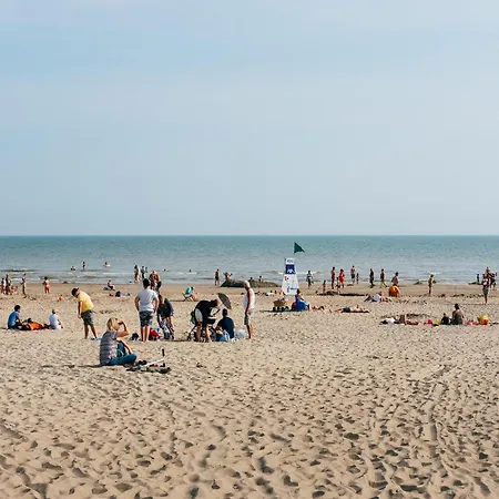 Near Sint-andre * Koksijde